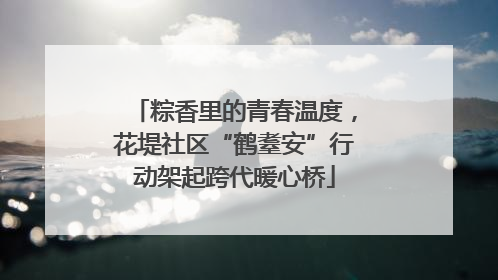 粽香里的青春温度，花堤社区“鹤耋安”行动架起跨代暖心桥